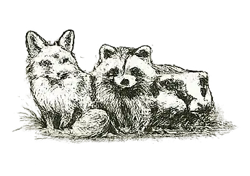 Other unregulated species